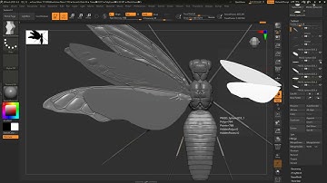 Part 08- Sculpting a hyper realistic Bug/Insect in Zbrush in 2 Hours