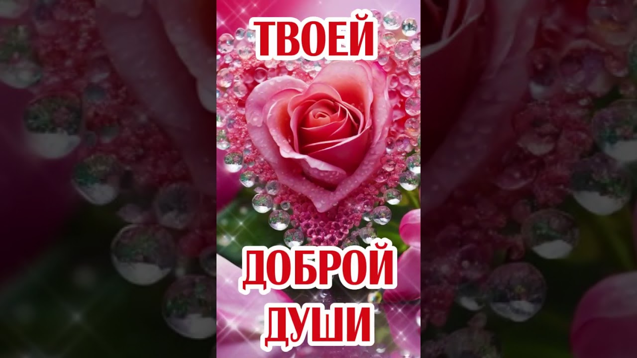 Настоящая 💖 ЛЮБОВЬ - это...