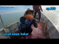 Jaring udang ep.328