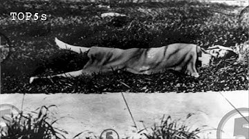 5 Darkest Unsolved Murders In History