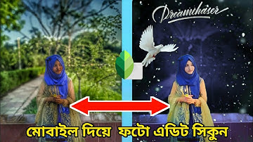 Snapseed Grey And Bird Effect Photo Editing Tricks 🔥 | Snapseed Background Colour Change Tutorial