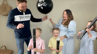 Gender Reveal (small first vlog)