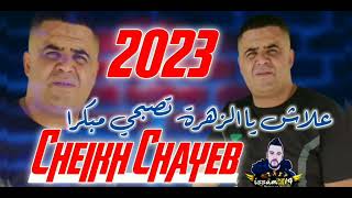 جديد شيخ شايب 2023بقوة علاش يا الزهرة تصبحي مبكرا