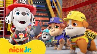 The Pups Build A Bridge! | Rubble & Crew | Nick Jr. Uk