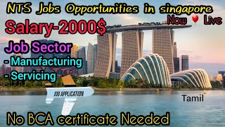Job opportunities in singapore ?? |NTS work permit  | $2000 salary #NTS #singaporejobs #spass
