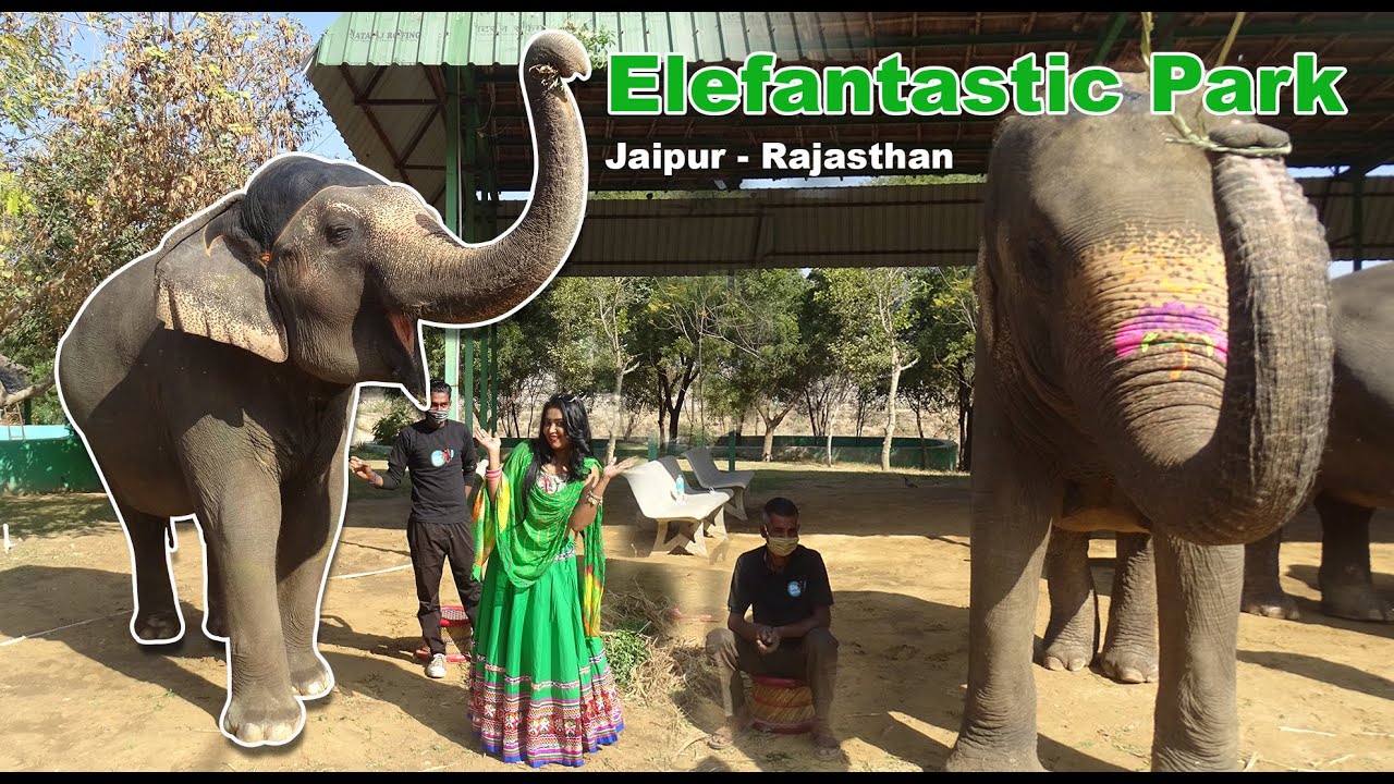 Jaipur Elefantastic Park WandergurlAdventures YouTube