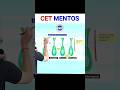 PCB⚡mht cet crash course 2026 |mht cet biology lecture 2026 | cet 2026 | mht cet classes online 2026