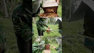 LIBOG? anu ba sa in you to? #honeybeesting