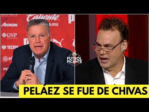 Wideo: Ricardo Peláez Net Worth