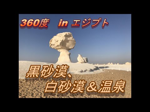 ひよこはマッシュルームが大好き？黒砂漠、白砂漠、温泉ツアー