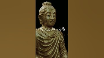 سورة غافر...القارئ أبو النور