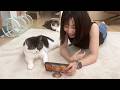 いなくなった弟猫の様子を兄猫にスマホで見せてあげたら、まさかのこうなった…！