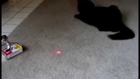 How to make CatBot: Automated Cat Laser using Arduino [Full Tutorial]