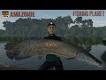 FISHING PLANET AMAZONIE GAMEPLAY #150 DE RETOUR POUR UNE PÊCHE AU PÉROU SUR MAKU MAKU LAKE