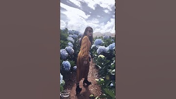 Đà Lạt - vườn hoa cẩm tú cầu