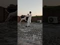 pitbull//bully kutta//bully dog//pakistani bully kutta//bully kutta tiktok//bully kutta status