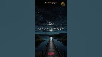 সূরা আল অনুভব (سورة الفيل)#কুরআন