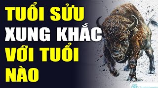 Tuổi Sửu Xung Khắc Với Tuổi Nào, Tương Hợp Với Tuổi Nào Trong 12 con giáp screenshot 2