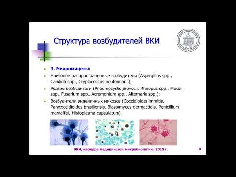 Микробиология №5 "Воздушно-капельные инфекции" 02.11.2020