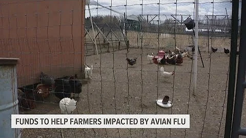 Some relief is coming for farmers impacted by the Avian flu outbreak