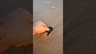 He Thought It Was Treasure Buried in the Sand Then the Truth Appeared♥️😮#trending #shorts