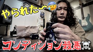 海外サイト】でエフェクター買ったらとんでもないものが届いた・Paul