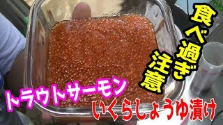 いくらしょうゆ漬け episode８