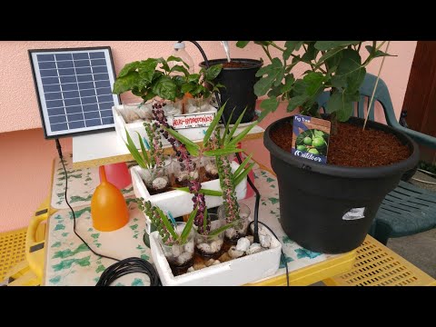 AGRI-HYDROPONICS USING SOLAR AND COMPOST TEA