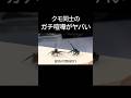 ハエトリグモの命懸けの戦いが熱すぎる！