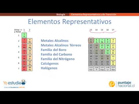 Vídeo: Diferencia Entre Elementos Representativos Y De Transición