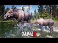 EM BUSCA DOS ALCES - Red Dead Redemption 2