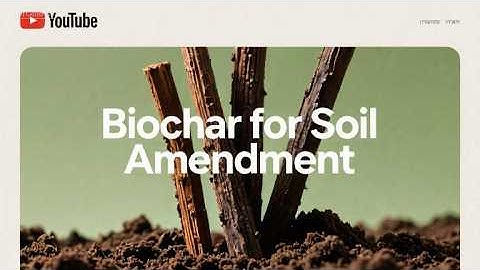 ♻️ Biochar: The Carbon-Negative Superhero for Soil & Climate! 🌱🔥
