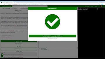 Basic CSS  Override All Other Styles by using Important   Learn freeCodeCamp31/44