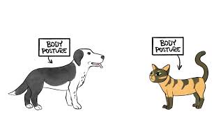 What Can Your Body Communicate to Your Pet?