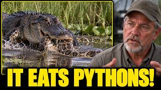 Details A New Predator Is Devouring Pythons in Florida — The Footage Is Terrifying News