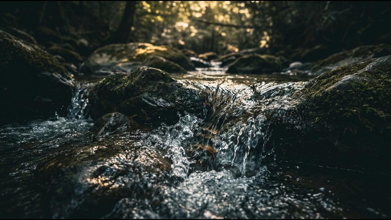 Deep Sleep River Sounds | Continuous Flowing Water ASMR - YouTube