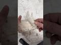 Desmoldeando…. #art #moldeo #sculpture #moldes