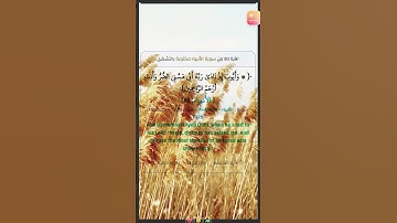 #سورة_الأنبياء_83