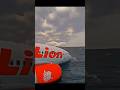 Why Lion Air 904 Crashed into Bali Sea – Full Investigation Explained | Episode - 9