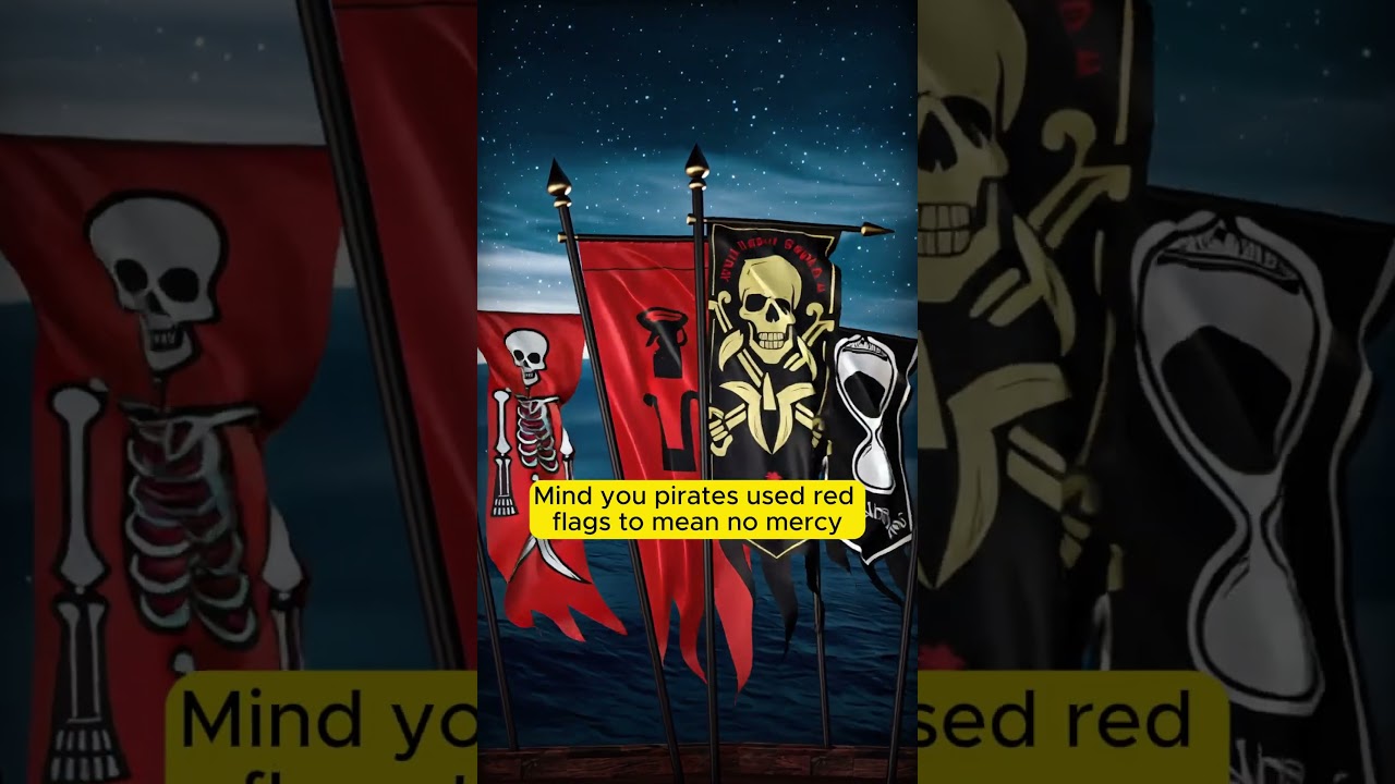 ☠️ Pirates & The Jolly Roger Flag ☠️ 