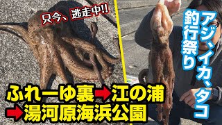 アジ釣って、イカ釣って、巨大タコが釣れた！春の釣り祭り【釣り動画】