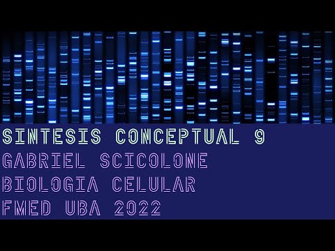 Video: ¿Qué estructuras centrales crecen hasta el centrosoma y proporcionan resistencia a la compresión para la célula?