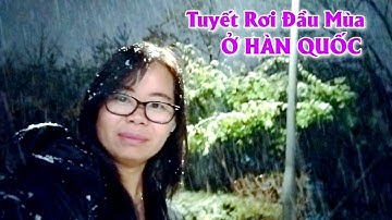 Tuyết Rơi Đầu Mùa Ở Hàn Quốc