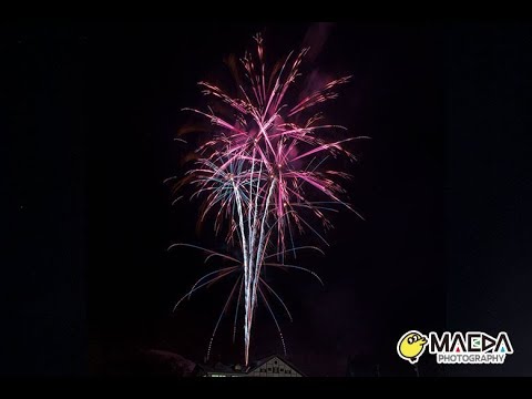11 しだれ梅 大曲の花火 R 冬の章 新作花火コレクション19 36arts Com Youtube