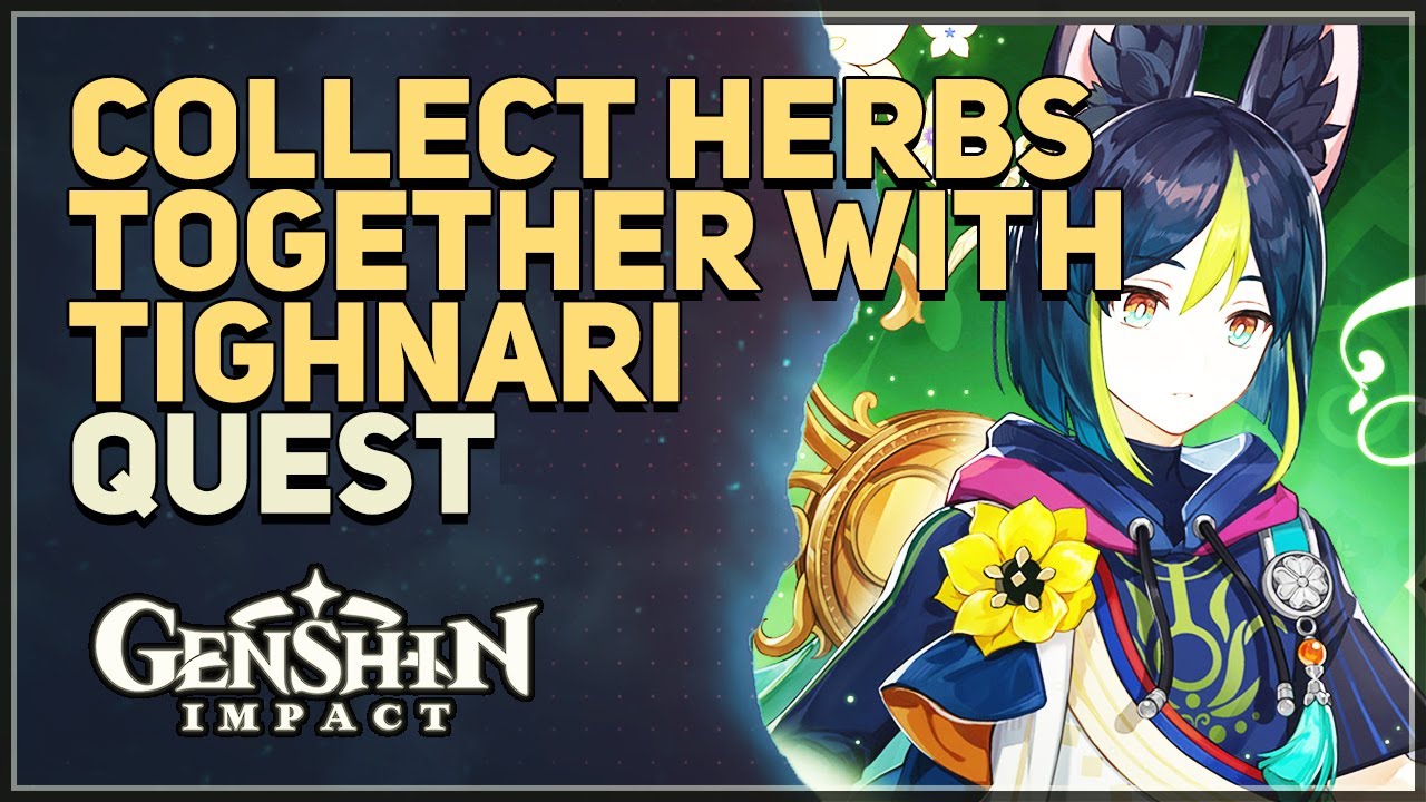 Collect herbs together with Tighnari Genshin Impact YouTube