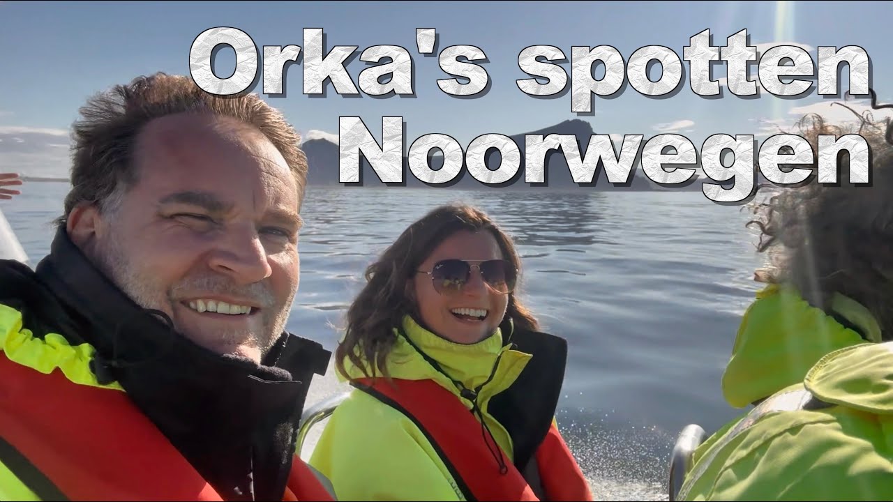 Oog in oog met ORKA’S, Elanden en Walvissen! 🐋❄️ | Onze route door Varanger & Andenes #24