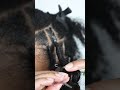 Most Realistic Loc Extensions with Human Hair! #hairdelacreme #humanhairlocs