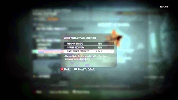 Idiots Guide to Black Ops Part 2: Custom Classes & Perks