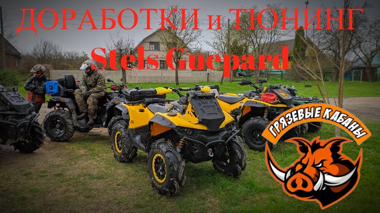 Двигатель стелс гепард 800
