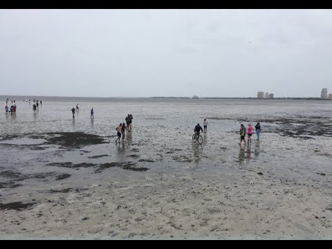 How hurricanes can suck water away from shorelines and expose the sea floor